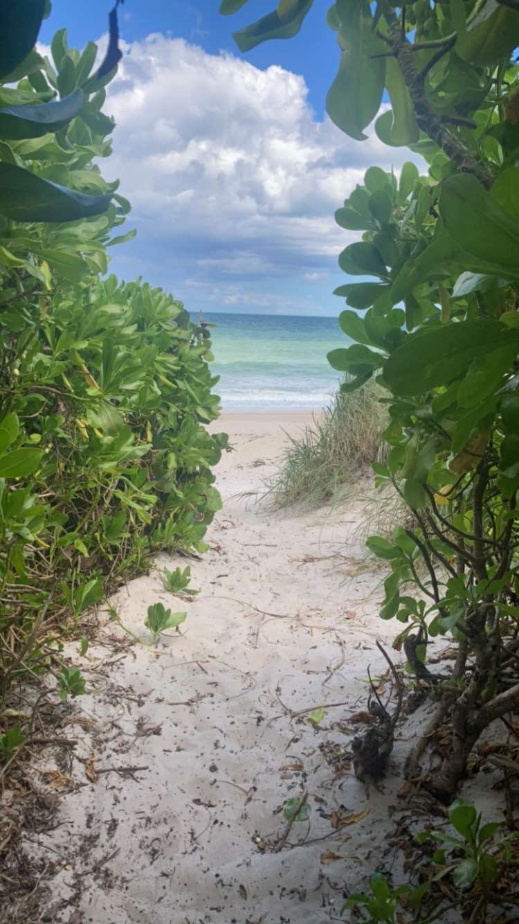 A sandy path opening onto a beach